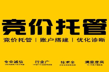 成功案例解析：sem竞价代运营如何助力企业增长